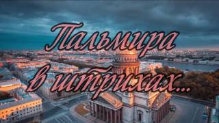 Пальмира в штрихах... видео Почему Петербург стали называть Северная Пальмира
