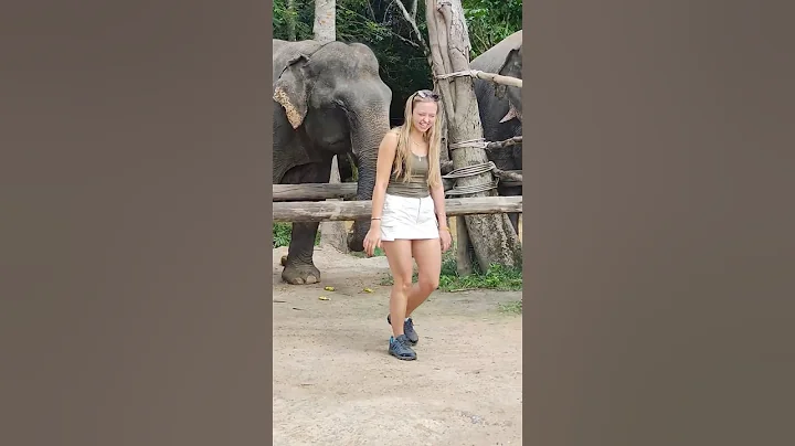 She was unbelief what she just did 🐘🥰❤️ #elephant #keffamily #babyelephant #kef #chimean