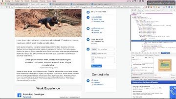 Bootstrap 4: Create a resume and CV page – Card – Portfolio