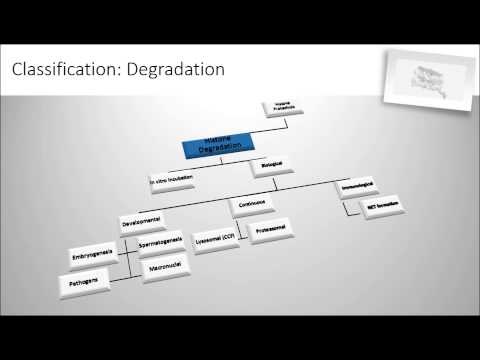 BIOESSAYS: Histone proteolysis: A proposal for categorization into ‘clipping’ and ‘degradation’