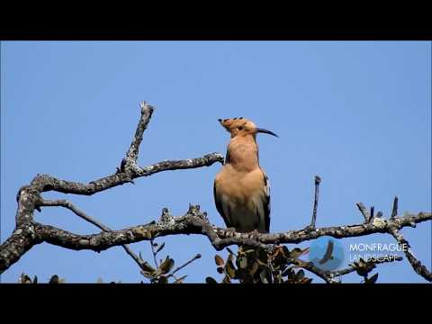 Parque Nacional de Monfrague en Cáceres (Extremadura)