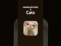 Cats smash or Pass