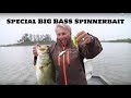 This Special Spinnerbait Catches Big Bass all the time!