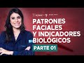 Patrónes faciales y indicadores biológicos: Patrón I, II, III, corta y larga [Parte 1/2]