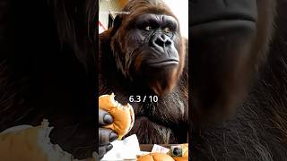 Bigfoot Ranks Mcdonalds Burgers And Regrets The Fish bigfootvlog