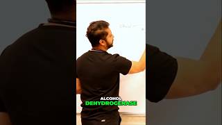 Alcohol In Your Body How It Works