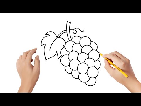 Video: Cómo Dibujar Uvas