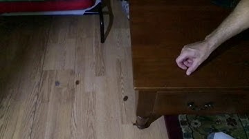 Projectile Motion with two coins