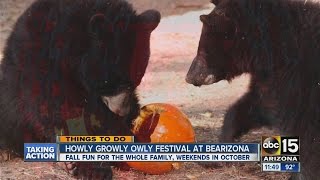 Fun things to do this weekend in Phoenix