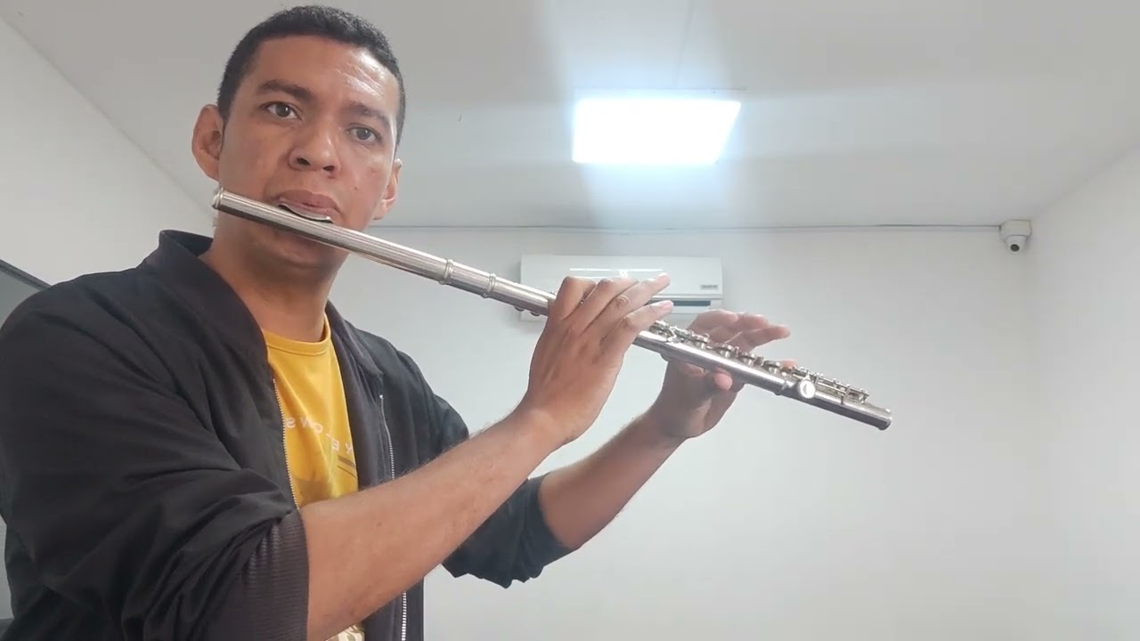 Vivaldi flauta traversa