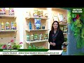 Compo france  engrais bleu algoflash naturasol avec valerie brault aux jdc garden trends 2023