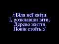 Дайте мені крила в небо я полину