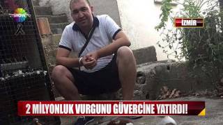 2 Milyonluk Vurgunu Güvercine Yatırdı Resimi
