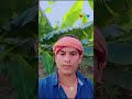 samajh na pauni tohar asli irada #khesarilalkajalraghwani #hindiganabhojpurigana #love #music
