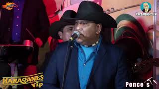 Download Lagu Lo tengo Decidido MP3