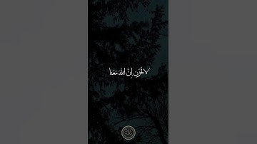 إلا تنصروه فقد نصره الله (القارئ وليد بن وارث) #راحة_نفسية #تلاوة_خاشعة #ترتيلات_قرآنيه#لايك#المصحف