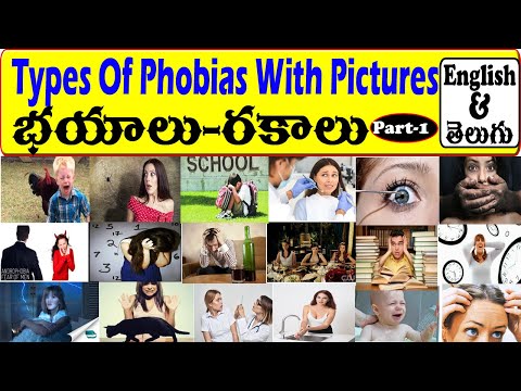 Types of Phobia in Telugu And English | List of Phobia| Learn With KK - English to Telugu Dictionary