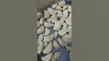 Máy bóc bỏ tỏi chuyên nghiệp Tech Garden, để làm tỏi xuất khẩu