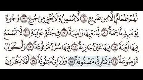 @سورة الغاشية ٨-١٦ مع تكرار كل اية اربع مرات