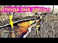 ПОИСКОВЫЙ МАГНИТ! ОТКУДА ОНО ЗДЕСЬ?!!