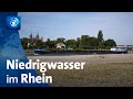 Fallende Wasserstände im Rhein: Schiffsverkehr beeinträchtigt
