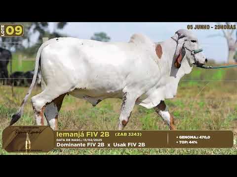LOTE 09   ZAB 3243