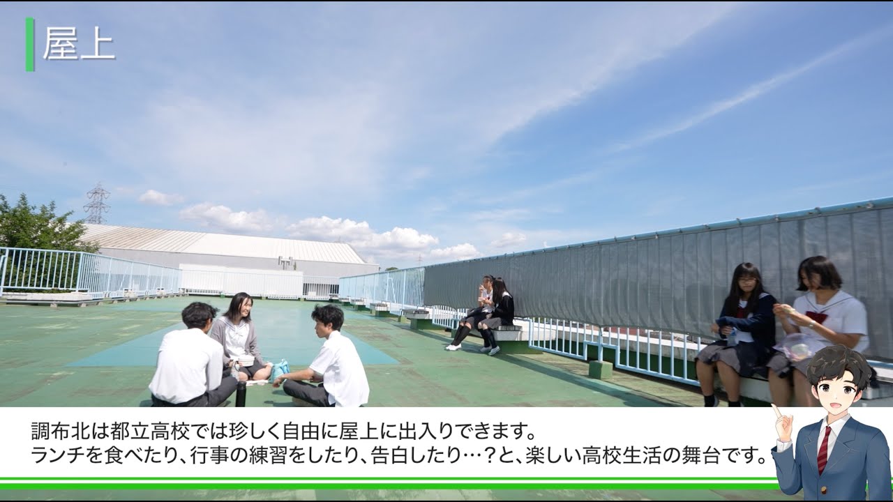 活動歴および当時の関連ビジュアル記録