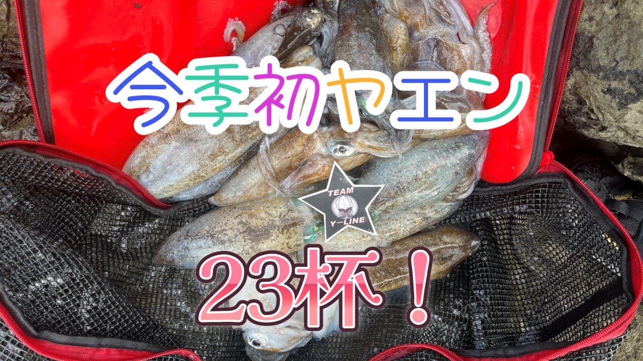 ヤエン釣り】2025年10 月14日徳島県美波町沖磯 今季初ヤエン 23杯