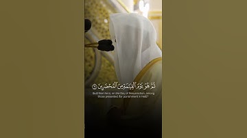 تلاوة حجازية خاشعة من سورة القصص | فضيلة الشيخ محمد برهجي | أفمن وعدنـاه وعدا حسنا فهو لـٰقیه