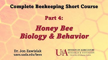 Part 4: Honey Bee Biology