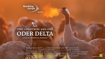 Two countries one Oder Delta | Documentary by Emmanuel Rondeau | Rewilding Oder Delta