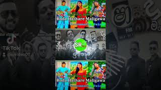 Miniatura del video "RODA HATHARE MALIGAWA|Asanka Priyamantha Peiris|Shaafm Sindu Kamare|INTHAL|2023| @srvideo2001"