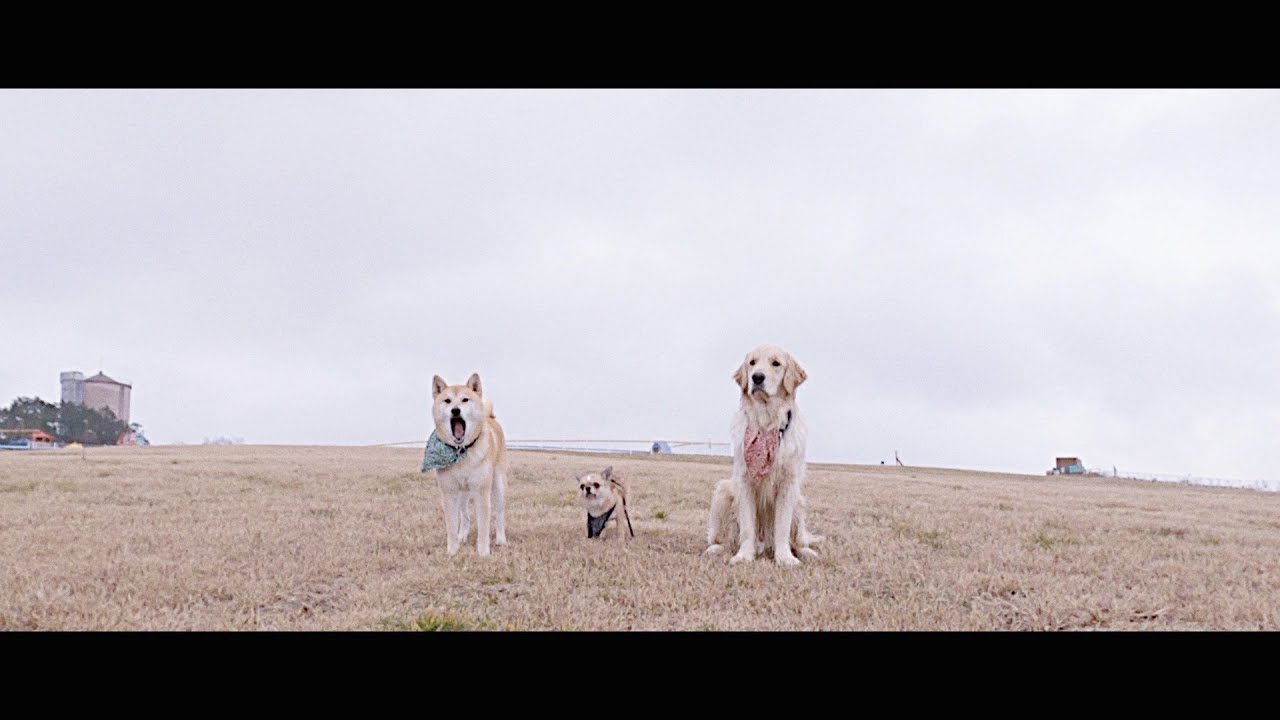 YouTube पर 西村中毒バンド"ハローイッツミー"(Official Music Video) देखें