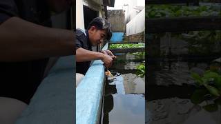 RTC PHANTOM MAKIN GANAS SETELAH MASUK NYA DATZ MONSTER