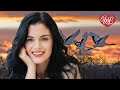 ЛЕТИ МОЯ ЛЮБОВЬ ♥ ХИТЫ ШАНСОНА ДЛЯ ТАНЦПОЛА WLV ♥ ПЕСНЯ ЗАЖИГАЛКА ♥ RUSSISCHE MUSIK RUSSIAN MUSIC