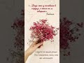 ОТ ИЗБЫТКА СЕРДЦА ГОВОРЯТ УСТА … 25.10.2025