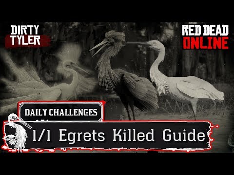Egret Locations RDR2