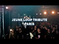 Capture de la vidéo Bluefiles.dvd #0 : Mike Shabb Concert - Jeune Loup Tribute @ Paris