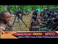 ODUU AMMEE I WBO Da Ima Baatii 2 Hidhamuu Fi Marii Iran Fi USA F Dhihessu MWO Caamsaa 18 2026 