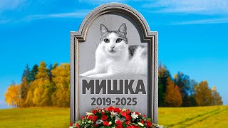 видео: Сделали коту Мишке красивый памятник / SANI vlog картинка: Сделали коту Мишке красивый памятник / SANI vlog