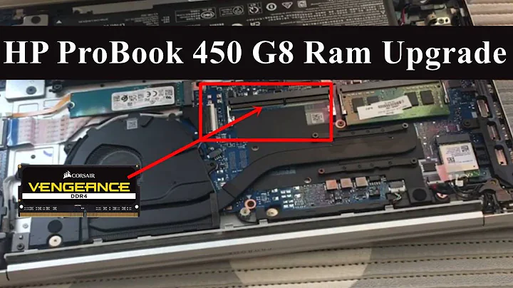 HP ProBook 450 G8 Ram Upgrade | Hp 450 G8 Disassembly | 2022