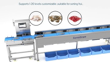 Waterproof Weight Sorter (IP65): Precision Checkweigher for Food Production Lines