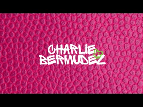 Perdóname (Charly Flow) “La Reina Del Flow” - Charlie Bermudez (Acoustic Version)