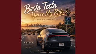 Besla Tesla You're My Ride screenshot 3