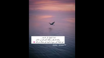 أوائل سورة مريم | ياسر الزيلعي