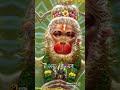 Jay Hanuman