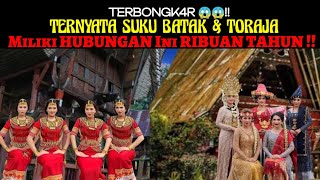 Download Lagu Astaga TERBONGK4R 😱😱! Ternyata Suku BATAK \u0026 TORAJA Miliki HUBUNGAN Ini Selama RIBUAN TAHUN !! MP3