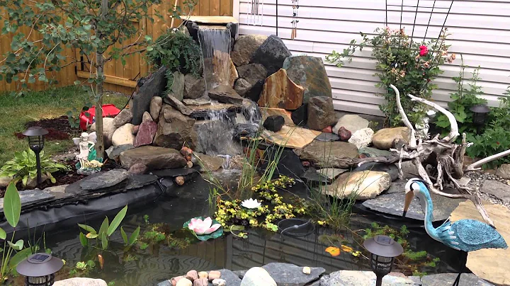 Pond Video - Finally DONE