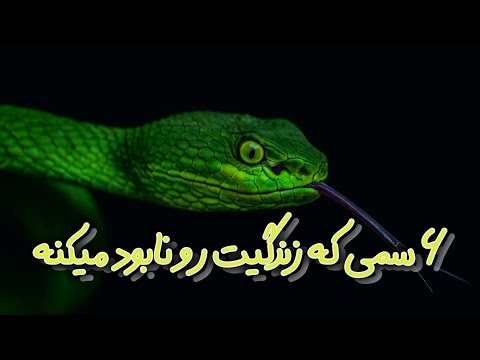 ۶ سم خاموش که اروم اروم زندگیت رو نابود میکنن خیلی ها نمیدونن