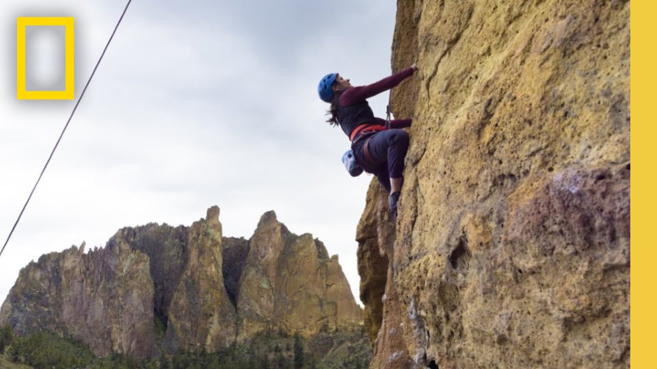 Wildlife Encounters: A Journey with Photographer Jody MacDonald | National Geographic – Video